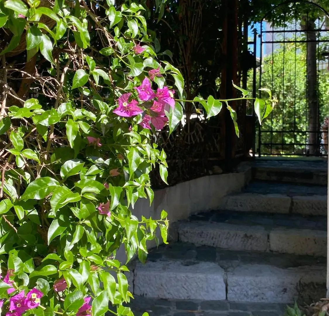 Une Pepite Zen Et Cosy, Parking Jardin, Ideal Pour Se Ressourcer Au Calme Le Cannet